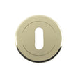 Serozzetta Door Furniture Stainless Brass / Mortice Key Profile Escutcheons Serozzetta - Standard Profile Escutcheon - Stainless Brass
