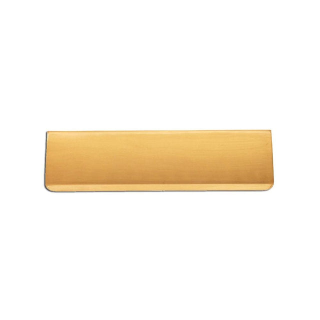 Spira Brass Door Furniture N/A / Satin Brass / Interior Letter Flap Spira Brass - Tidy Flap 275 x 80mm Satin Brass