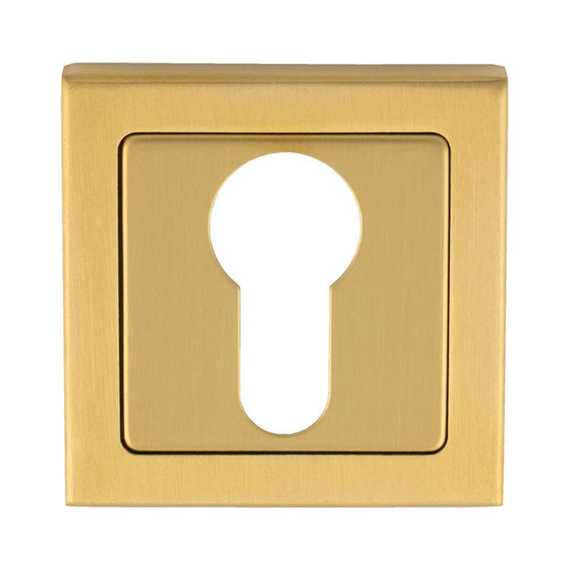 This is an image of a Carlisle Brass - Square Escutcheons - Satin PVD that is availble to order from Trade Door Handles in Kendal.